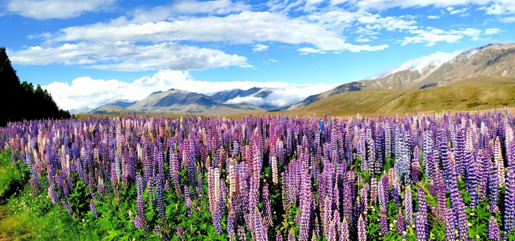 37 Galaxy C Studio Apartamento Lake Tekapo Exterior foto